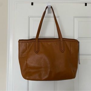 Fossil bag